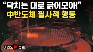 [여의도튜브] “닥치는 대로 긁어모아!” 中반도체 필사적 행동 / 머니투데이방송