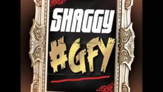 SHAGGY-Go Fuck Yourself