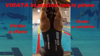 LA VIRATA CON LE DUE PINNE IN APNEA [ cetma composites official )