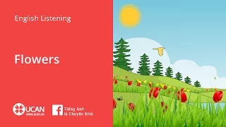 Learn English Via Listening | Beginner - Lesson 31. Flowers