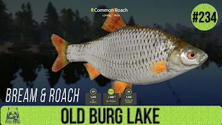 Russian Fishing 4 - Old Burg Lake - Bream & Roach - #234