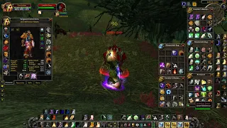 Paladin AoE Farming Gear and Guide Classic WoW HC Part 1