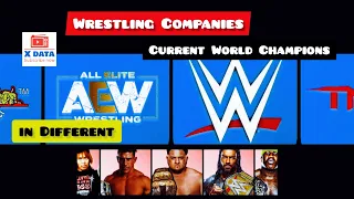 Current World Champions in Different Wrestling Companies From xdata