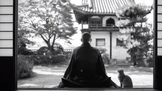 Десять полей практики дзен. Домё Бурк. Глава четвёртая: Совершенствуем осознанность каждое мгновение