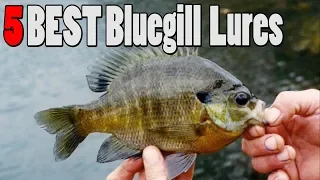 TOP 5 Bluegill Sunfish Lures