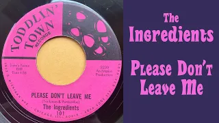 The Ingredients - Please Don't Leave Me