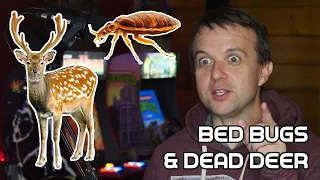 Dead Deer and Bed Bugs | Red Cow Arcade Clip
