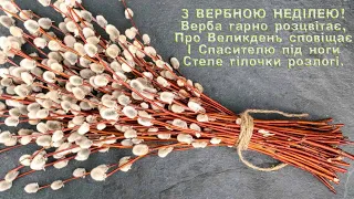 ВІТАЮ ВСІХ З ВЕРБНОЮ НЕДІЛЕЮ!!! пісня: Нехай не плаче Божа мати, Боже Україну збережи!