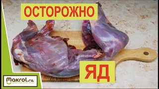 ✅Польза и ВРЕД мясо кролика. Выбирать ВАМ!