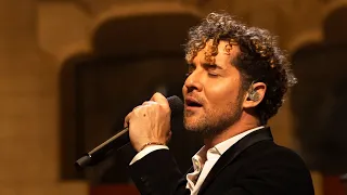 Davidbisbal la ￼ peregrinación.