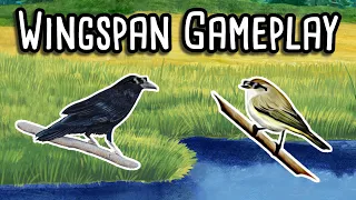 Wingspan Gameplay | Chiffchaff vs Raven!