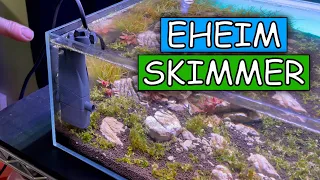 Eheim Skim 350 Setup and Review