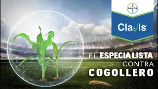 Clavis®, el especialista contra cogollero // retransmisión 1er webinar