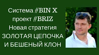 Система #BIN-X проект #BRIZ Новая стратегия ЗОЛОТАЯ ЦЕПОЧКА И БЕШЕНЫЙ КЛОН