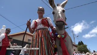 ROMERIA EN HONOR A SAN ISIDRO LABRADOR EN LAS MERCEDES TENERIFE 26-05-2024 GONZALO