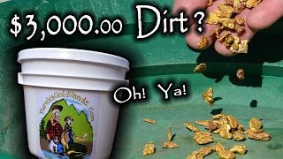 $3200.00 Bucket of Dirt?  Gold Nuggets!  Oh Ya!
