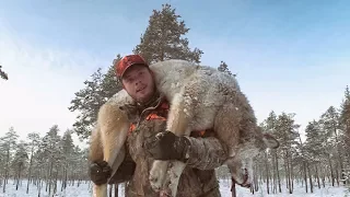 Шведы, они такие