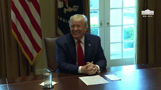 President Trump Participates in a Roundtable with Energy Sector CEOs