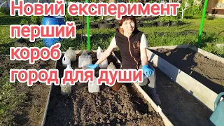 8 травня 2024 р.🌶️🥀Починаю садити новий город для душі, перший короб уже з перчиком👍🤓