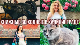 КНИЖНЫЕ ВЫХОДНЫЕ в КАЛИНИНГРАДЕ 🌊📚  МОРЕ, КОТЫ И КНИГИ