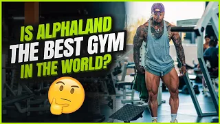 Is AlphaLand the best gym in the world? Chest and Shoulder Workout VLog #Kristopherdavis #alphaland