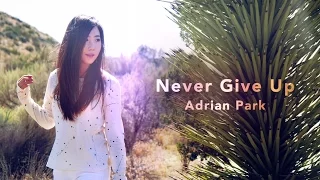 Never Give Up (Cover) - Adrian Park