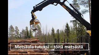 Metsäala tutuksi - töitä metsästä