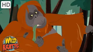 Amazing Adaptations Part 4 | How Animals Survive in the Wild | Wild Kratts
