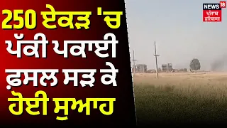 Amritsar News | 250 ਏਕੜ 'ਚ ਪੱਕੀ ਪਕਾਈ ਫ਼ਸਲ ਸੜ ਕੇ ਹੋਈ ਸੁਆਹ  | Fire in wheat | News18 Punjab