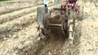 Farmall Cub Digging Potatoes w/Hoover Digger