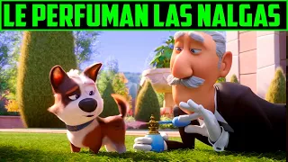 EL PERRO MILLONARIO - TRAVIESO -  RESUMEN EN 12 MINUTOS