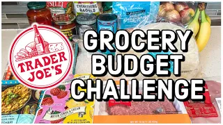 TRADER JOE'S GROCERY HAUL ON A BUDGET | $50 Trader Joe's Haul 2023