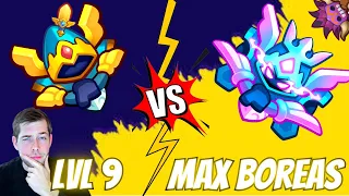 Can lvl 9 Boreas win against Max Boreas? | Rush Royale