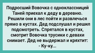 Дед в Кустах Подсмотрел за Вовочкой! Сборник Свежих Смешных Жизненных Анекдотов!