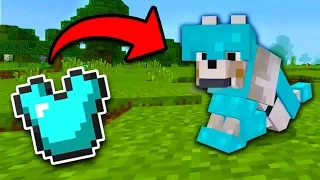 How to get WOLF ARMOR in Minecraft Tutorial! (Pocket Edition, Xbox, Addon)