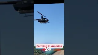 Farming in America. Helicopter spraying insecticides in farmlands of Nebraska. Farming Technology.