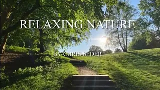 Relax Nature sound cozy place