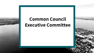 Common Council Executive Committee: Meeting of January 4, 2022