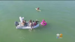 Boat Pulling People In Water Toys Comes Dangerously Close To Sharks