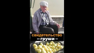 Свидетельство о чуде Дмитрий Белкин  - Вячеслав Бойнецкий