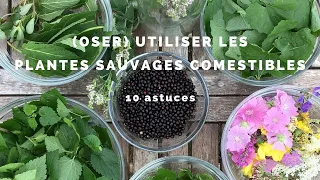 10 astuces pour (oser) utiliser les plantes sauvages comestibles