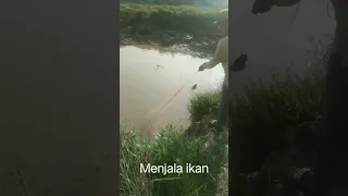 menjala ikan