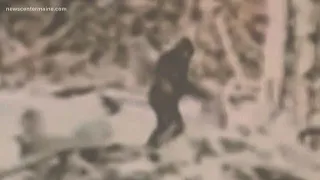 Portland expert talks 'Bigfoot' rumors