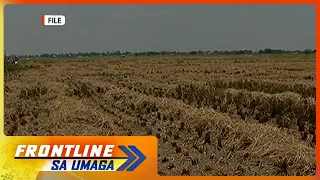 El Niño alert, itinaas na ng PAGASA | Frontline sa Umaga