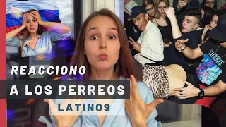 CHICA RUSA REACCIONA A LOS PERREOS LATINOS Por qué bailan así de pegados? Las rusas somos timidas?