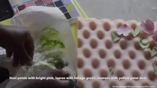 SUGAR FLOWERS: How to make open sugar peony flower and leaves tutorial by Busi Christian-Iwuagwu