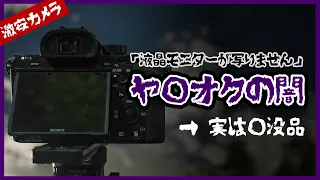 ヤ○オクの闇「液晶モニター映らないけど使えます」→ これ絶対○没品やん...（激安SONY α7sIIを買った結果）