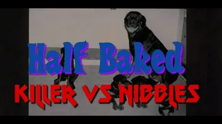 Killer vs Nibbles Half Baked