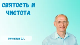 Торсунов О.Г.  Святость и чистота