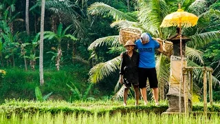 Bali Road Trip in 4K! | DEVINSUPERTRAMP